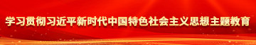 www.逼白学习贯彻习近平新时代中国特色社会主义思想主题教育